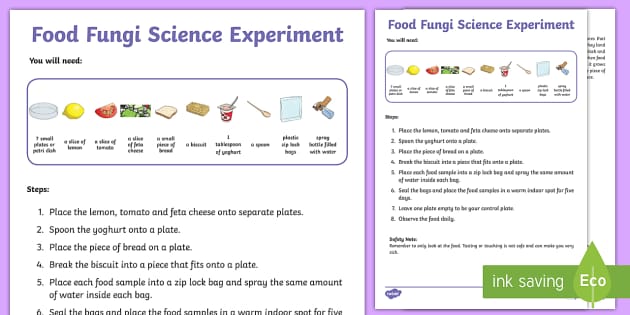 Food Fungi Science Experiment L Insegnante Ha Fatto