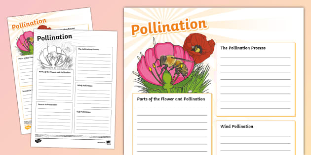 KS2 Pollination Fact File Template Hecho Por Educadores