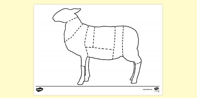 FREE Lamb Cuts Colouring Sheet Colouring Sheets