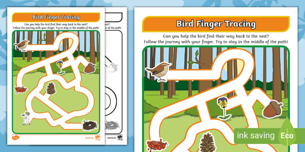 Bird Finger Tracing Activity Hecho Por Educadores Twinkl