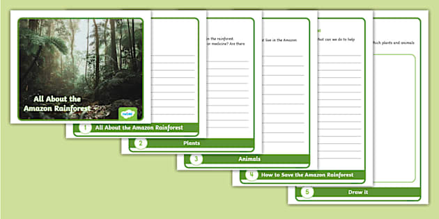 Amazon Rainforest Flipbook Template Teacher Made Twinkl