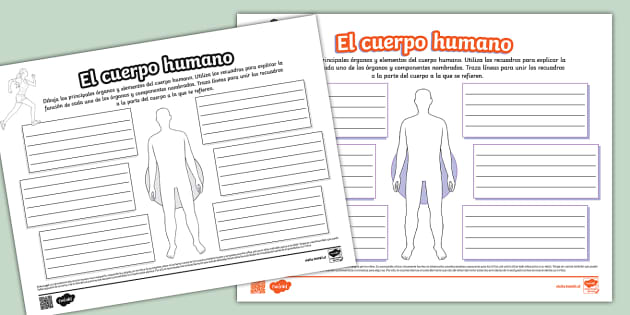 Mapa Mental El Cuerpo Humano Teacher Made Twinkl