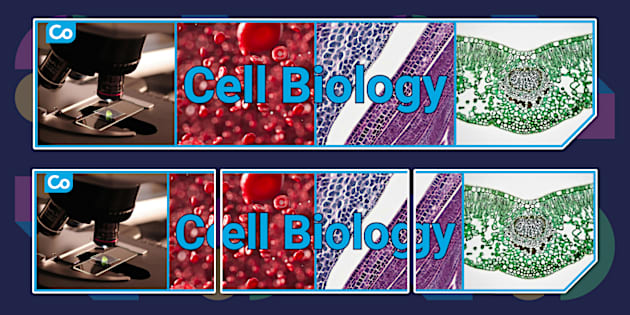 Cell Biology Display Banner Teacher Made Twinkl