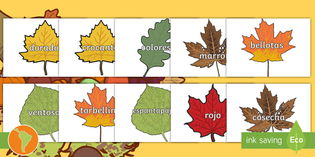 Pósters Vocabulario de otoño en hojas profesor hizo