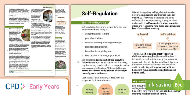 Self Regulation EYFS Practitioner Support Handout CPD