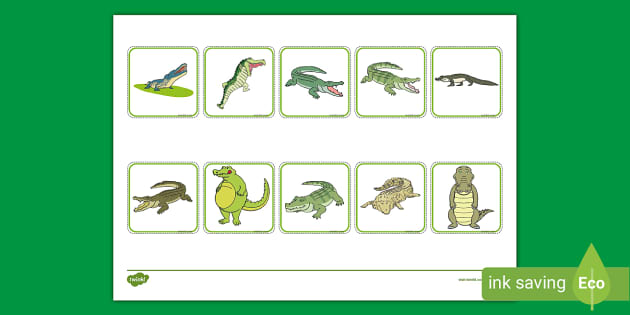 Crocodile Matching Game Professor Feito Twinkl