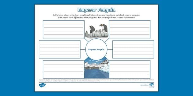 Emperor Penguin Mind Map L Enseignant A Fait Twinkl