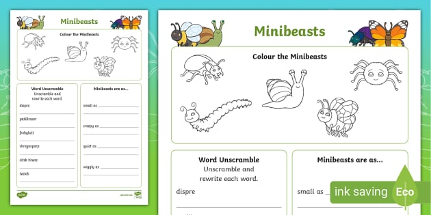 Minibeasts Boredom Buster Teacher Made Twinkl