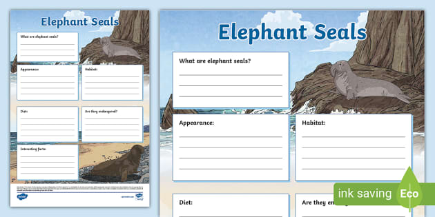 Elephant Seal Fact File Template Hecho Por Educadores