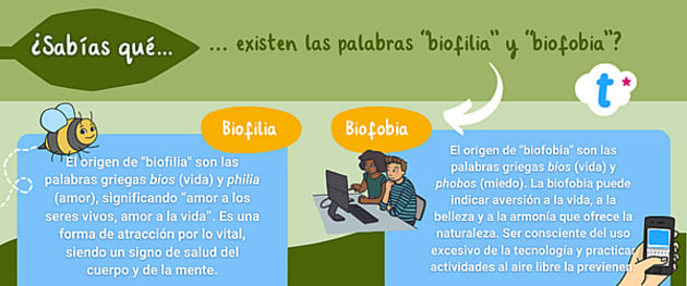 Naturaleza Y Educaci N Ideas Para Incorporar La Naturaleza En Los