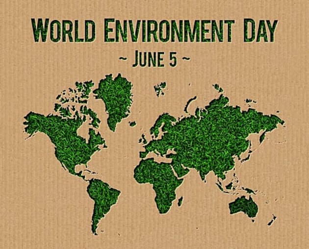 World Environment Day Ireland Environment Page Twinkl