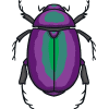 Scarab Beetle Fact File Teacher Made Twinkl