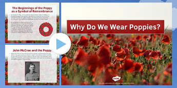 Why Do We Wear Poppies? PowerPoint, poppies, remembrance, poppy