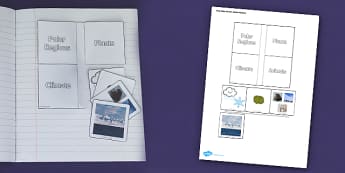 Living Things and their Habitats Polar Region Flap Book - Polar