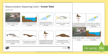 Bioaccumulation Sequencing Cards - Sequencing Cards, gcse, biology, toxin, chemical, DDT, food chain, food chains, bioaccumulation