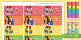 Maths 'Great Growth Mindset' Stickers - Marking, Feedback, Stickers, Rewards, Learning, Attitude, Time-Saving, Positive, Praise
