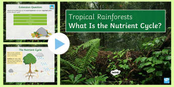 The Nutrient Cycle PowerPoint - nutrients, rainforests, ecosystems, decomposers, cycle