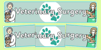 Vets' Surgery Primary Resources, vets, role play - Page 1