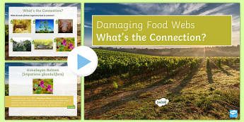Damaging Food Webs What's the Connection?