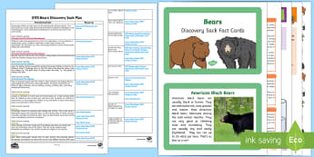 EYFS Bears Discovery Sack Plan and Resource Pack - brown bear, discovery