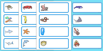 Editable Drawer - Peg - Name Labels (Sea Creatures) - Under the Sea - Sea creature Label Templates, under the sea,, Name Labels, Editable Labels, Drawer Labels, Coat Peg Labels, Peg Label, KS1 Labels, Foundation Labels, Foundation Stage Labels, Teach