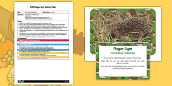 EYFS Hibernating Hedgehogs Finger Gym Plan and Resource Pack