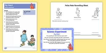 EYFS My Heart Science Experiment and Prompt Card Pack