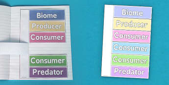 Food Chain Interactive Flap Book - Food, Chain, Book, Eat