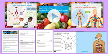 Unit 4.2: The Digestive System Cover Lesson Pack - Unit 4.2, cells, tissues, organs, system, organism, digestion, stomach, intestine 