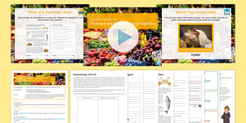 Jewish Practices: The Nature and Purpose of Jewish Food Laws Lesson Pack - Judaism, Halakah, Kashrut, Kosher, Parve, Treifah, KS4, GCSE