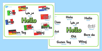 Mixed Language Hello Display Signs - Hello sign, hola, ola, Guten Tag, bonjour, salut, hello, language, differernt languages