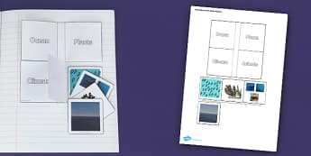 Living Things and their Habitats Ocean Flap Book - Ocean, Habitat