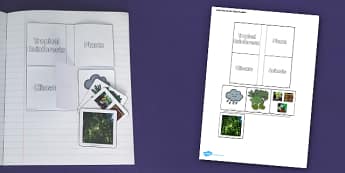 Living Things and their Habitats Tropical Rainforest Flap Book