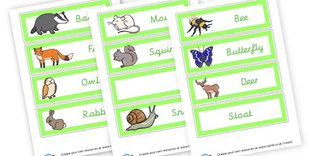 Woodland Animals Themed Labels - Forest & Woodland Literacy