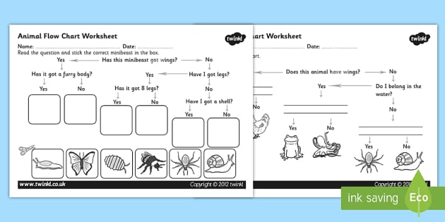 Animal Flow Chart Worksheet - animal flow chart, flow chart