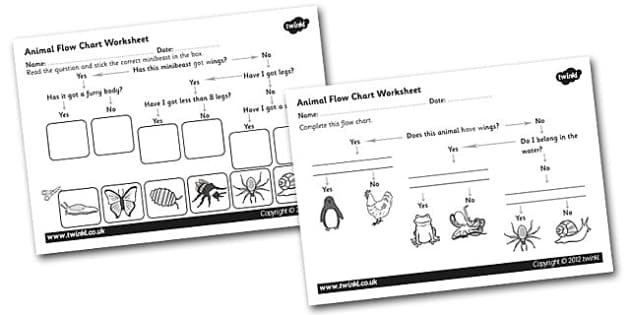 Animal Flow Chart Worksheet - animal flow chart, flow chart