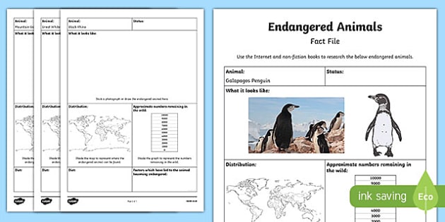 Endangered Animal Fact File Research Activity Sheet, worksheet
