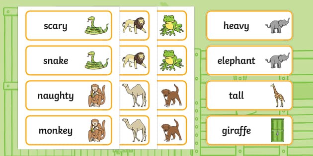 Word Cards to Support Teaching on Dear Zoo - Dear Zoo, Rod