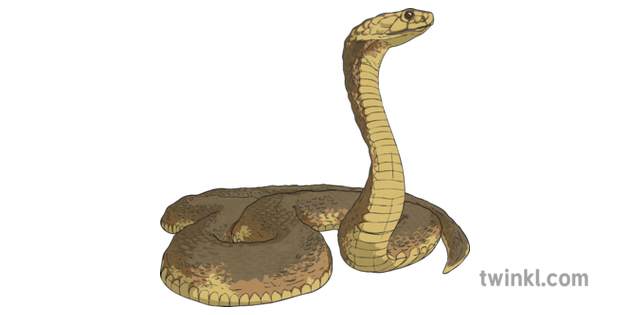 anaconda yoga mat