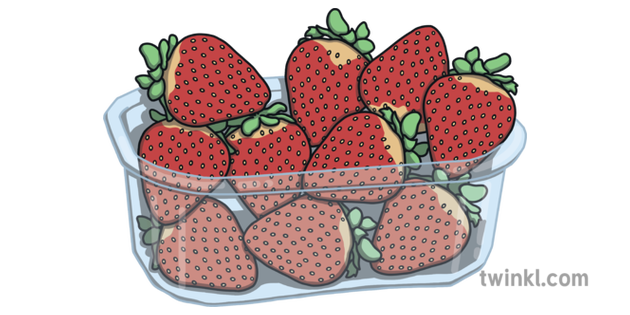 10 Strawberries In Punnet Ilustracja Twinkl
