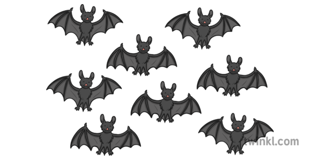 8 bat