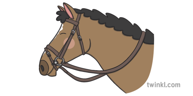 A Horses Head With Bridle And Reins Illustration Twinkl