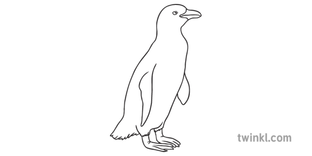 African Penguin Bird Animal South African Birds Open Eyes Ks1 Black And