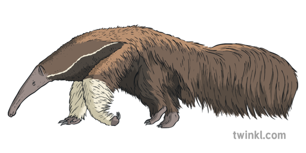 9 Fascinating Anteater Facts