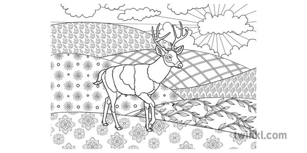Arkansas State Symbol White Tailed Deer Mindfulness Coloring