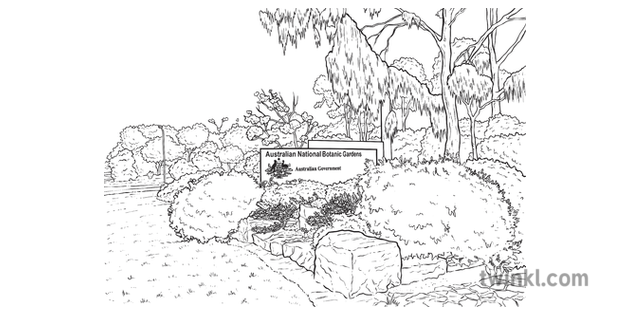 Australian National Botanic Gardens Colouring Page BW KS2 Black and White