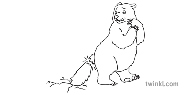 熊與他的尾巴打破現場動物童話故事ks1黑白rgb Illustration
