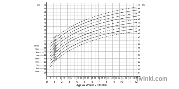 Head Circumference Percentile Chart