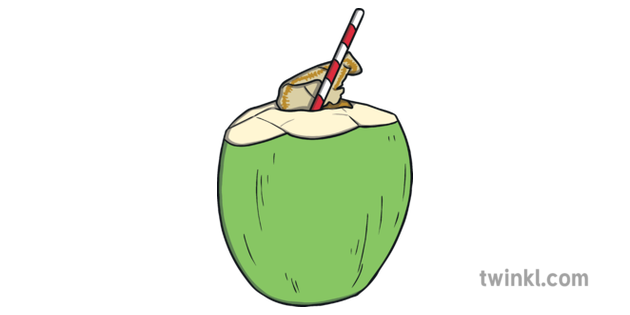 buko juice drink philippines filipino cuisine food traditional ks1 buko juice drink philippines filipino