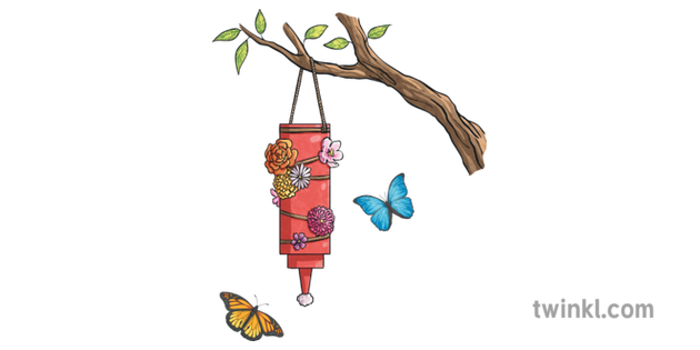 Butterfly Feeder Insects Nature Project Crafts Tree Science Butterfly